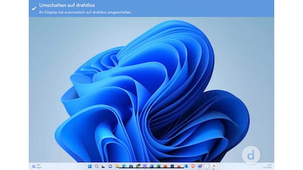 Gli artefatti digitali sono visibili solo per un breve periodo. Ingrandisci l'immagine per vedere questo effetto.