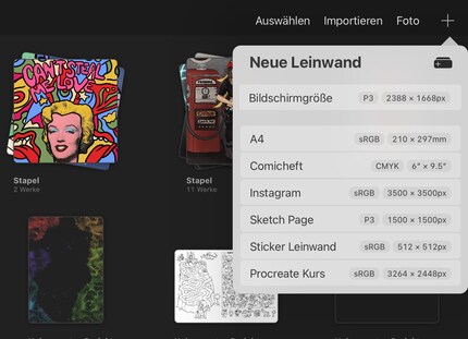 On the Procreate start page, create a new canvas by clicking on the plus sign at the top right.
