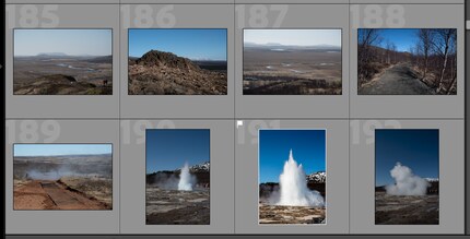 Miniatures that catch the eye, like number 191, are usually good images.