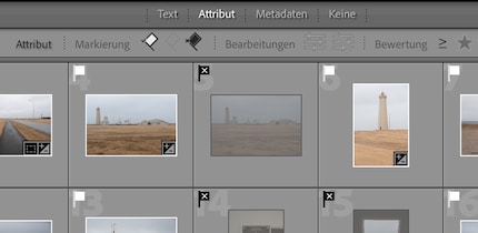Marked and rejected photos in grid view.