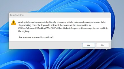 Conferma la richiesta di sicurezza con «SÌ».