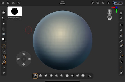 Un progetto in ZBrush su iPad: chiaro e non sovraccarico.